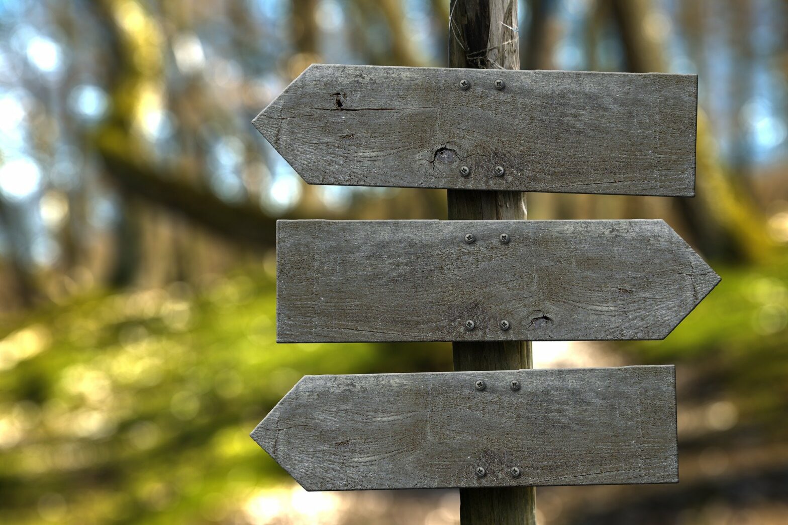 Un chemin vers le Père